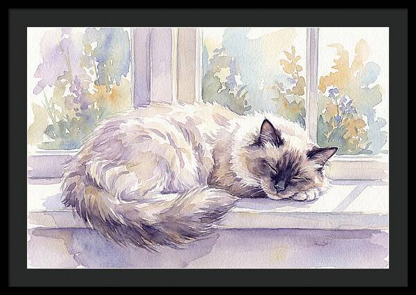 Cozy Ragdoll Cat By The Window