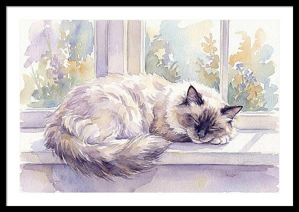 Cozy Ragdoll Cat By The Window