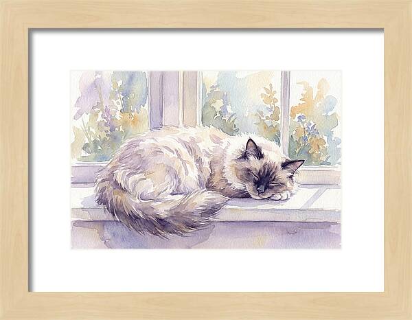 Cozy Ragdoll Cat By The Window