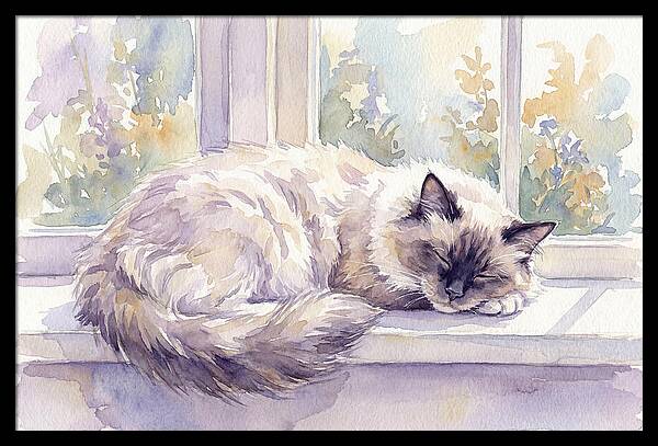 Cozy Ragdoll Cat By The Window