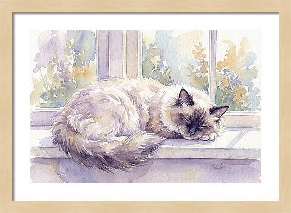 Cozy Ragdoll Cat By The Window