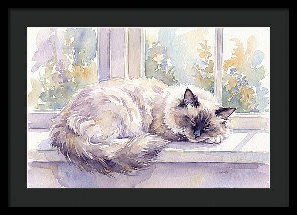 Cozy Ragdoll Cat By The Window