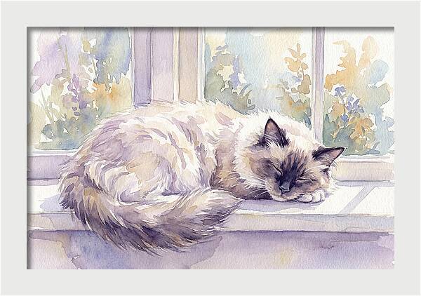 Cozy Ragdoll Cat By The Window