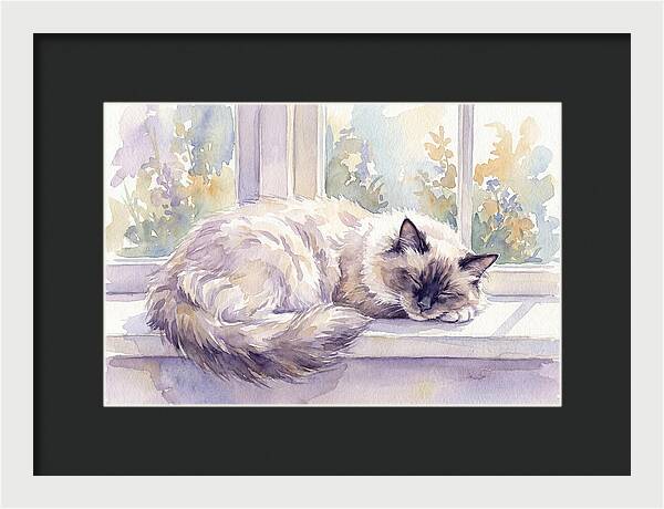 Cozy Ragdoll Cat By The Window