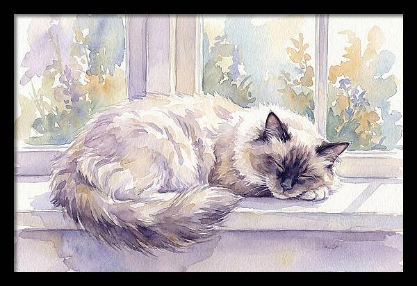 Cozy Ragdoll Cat By The Window