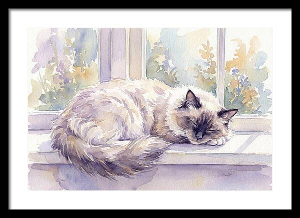 Cozy Ragdoll Cat By The Window
