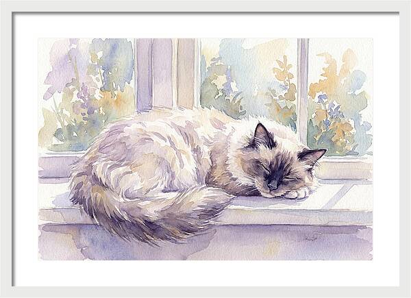 Cozy Ragdoll Cat By The Window
