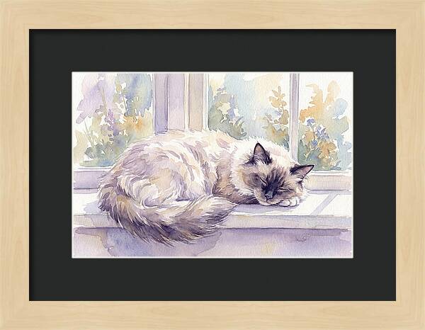 Cozy Ragdoll Cat By The Window