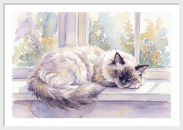 Cozy Ragdoll Cat By The Window