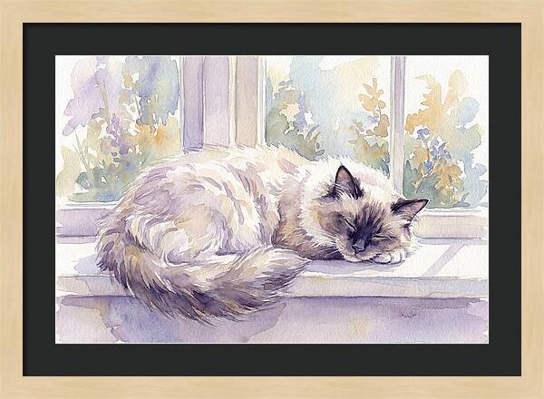 Cozy Ragdoll Cat By The Window