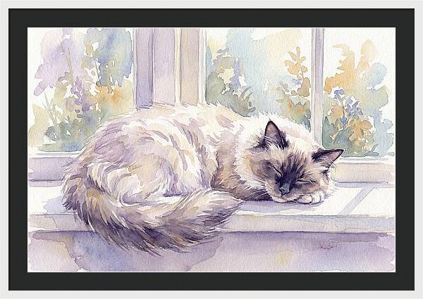 Cozy Ragdoll Cat By The Window
