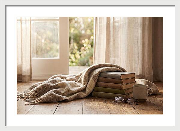 Cozy Reading Nook Vibes