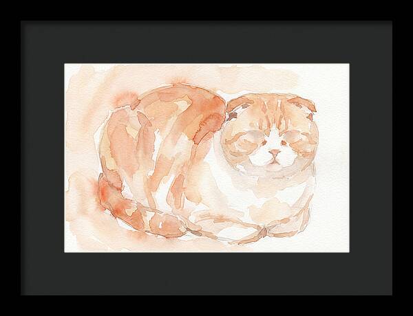 Cozy Scottish Fold Cat