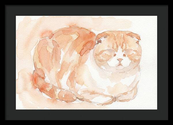 Cozy Scottish Fold Cat