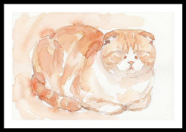 Cozy Scottish Fold Cat