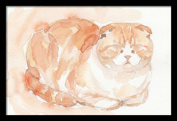 Cozy Scottish Fold Cat