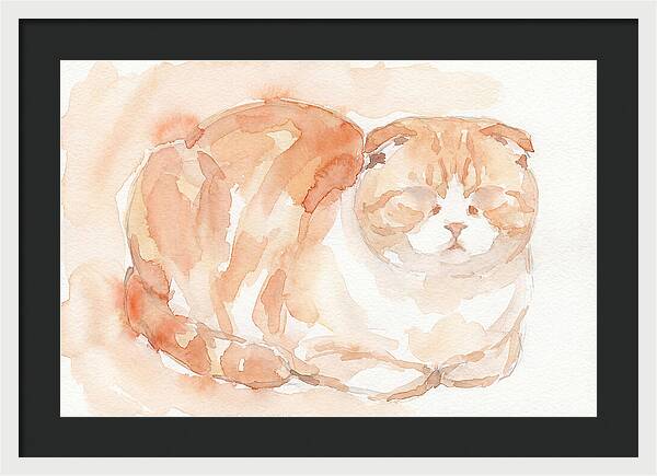 Cozy Scottish Fold Cat