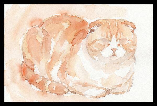 Cozy Scottish Fold Cat