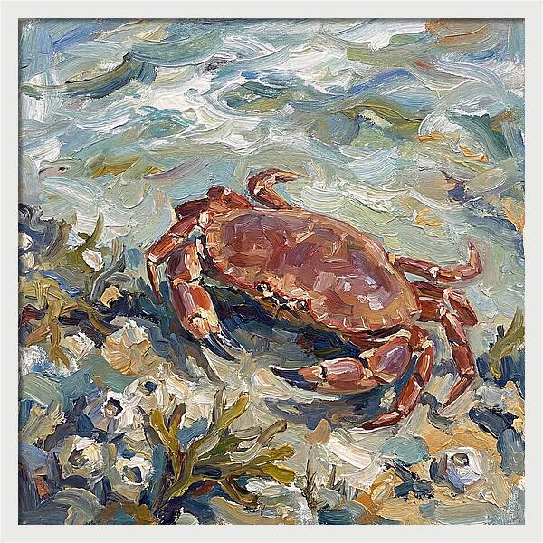Crab Among Coastal Flora