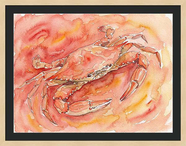 Crab In Watercolor Hues