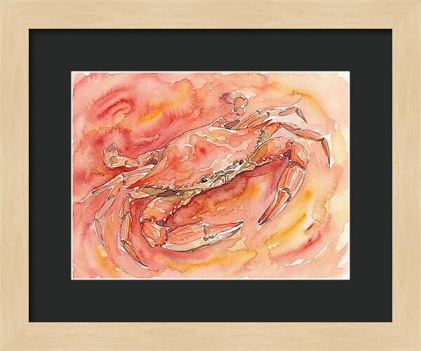 Crab In Watercolor Hues
