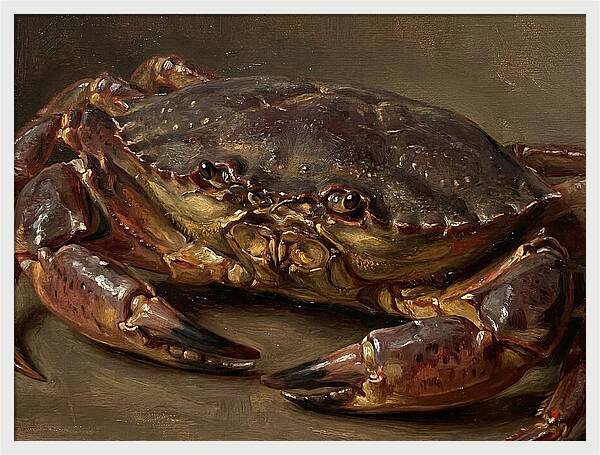 Crab Realism Study