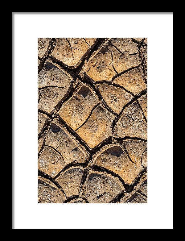 Cracked Earth Under Drought