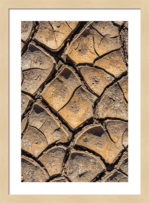 Cracked Earth Under Drought