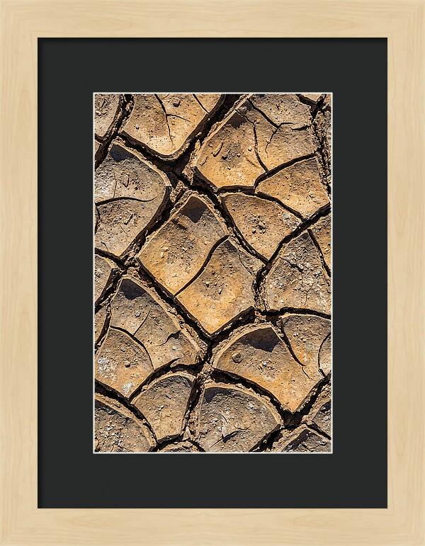 Cracked Earth Under Drought