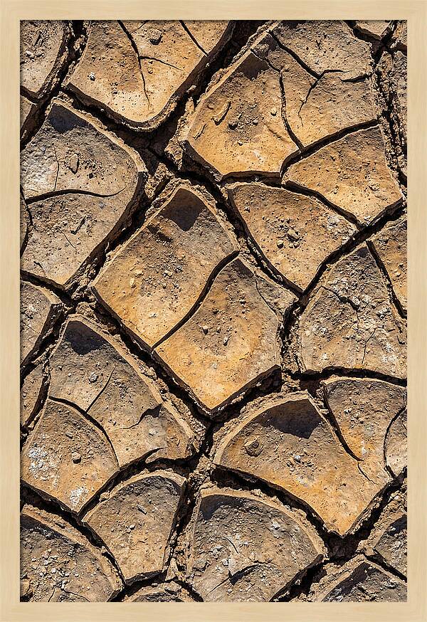 Cracked Earth Under Drought