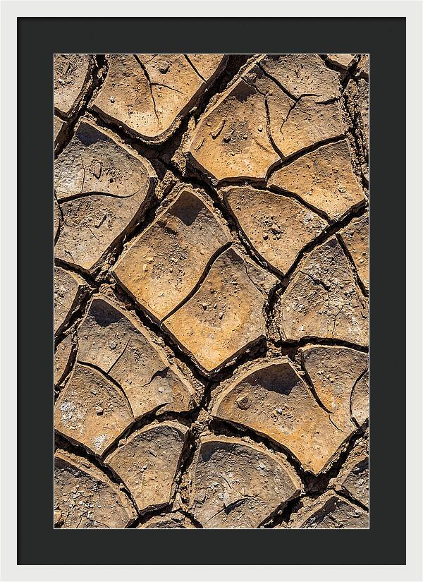 Cracked Earth Under Drought