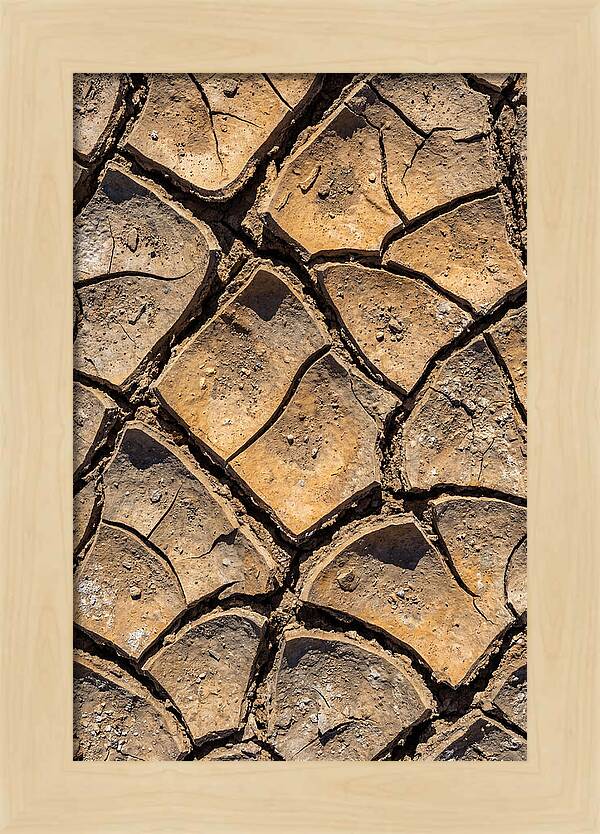 Cracked Earth Under Drought
