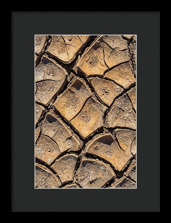 Cracked Earth Under Drought