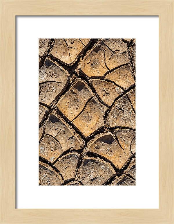 Cracked Earth Under Drought