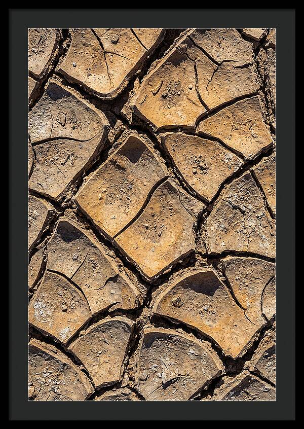 Cracked Earth Under Drought