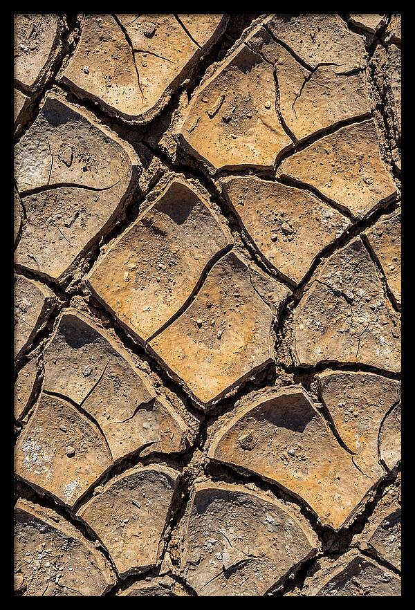 Cracked Earth Under Drought