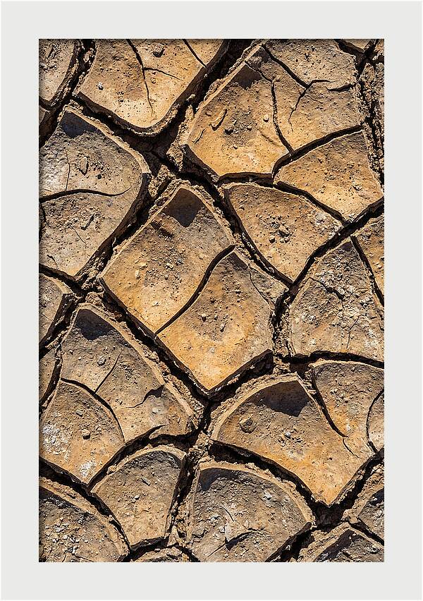Cracked Earth Under Drought