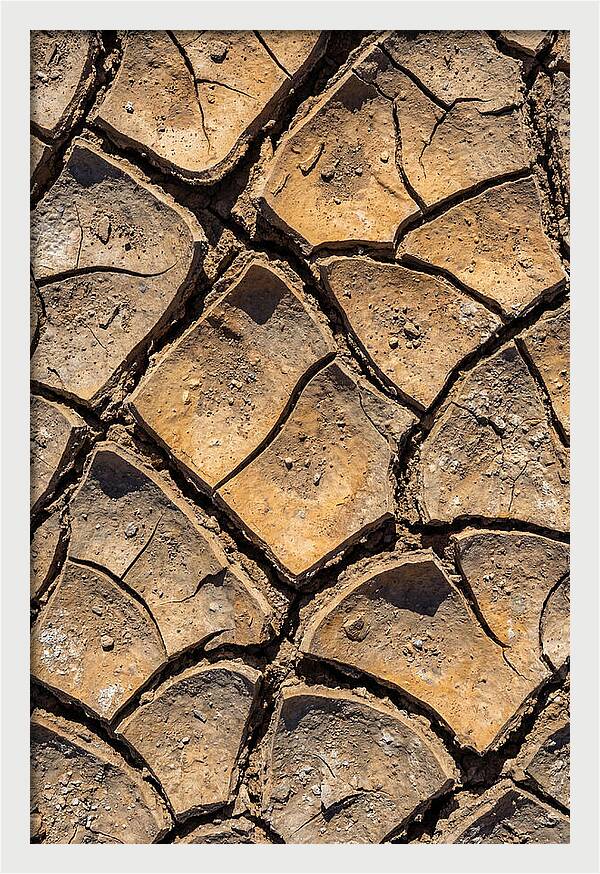 Cracked Earth Under Drought