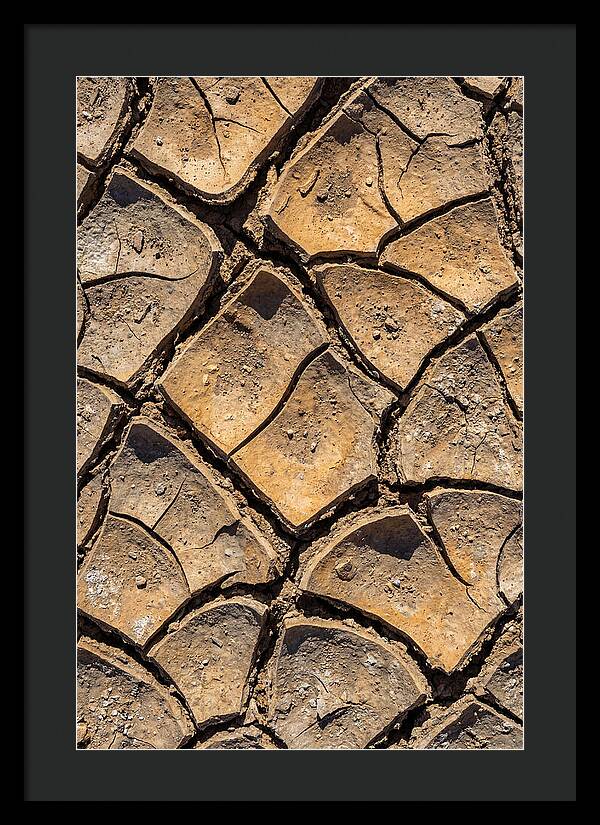Cracked Earth Under Drought