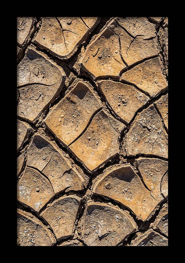 Cracked Earth Under Drought