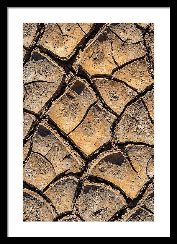 Cracked Earth Under Drought
