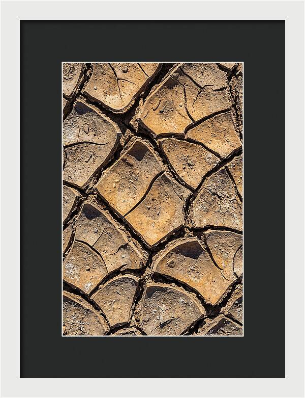 Cracked Earth Under Drought