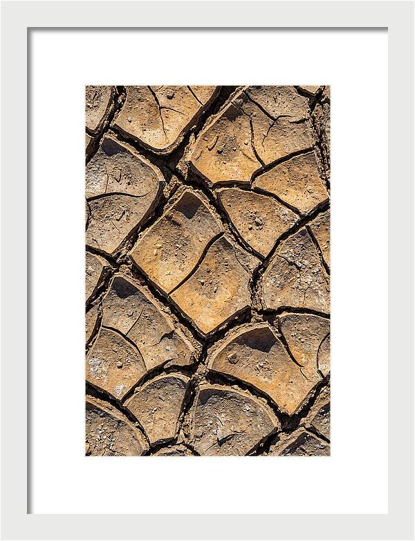 Cracked Earth Under Drought