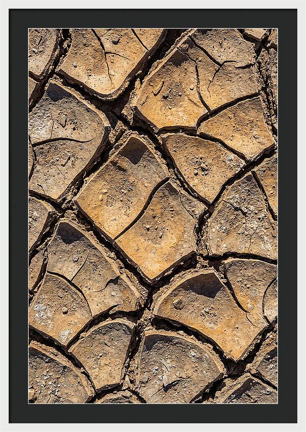 Cracked Earth Under Drought