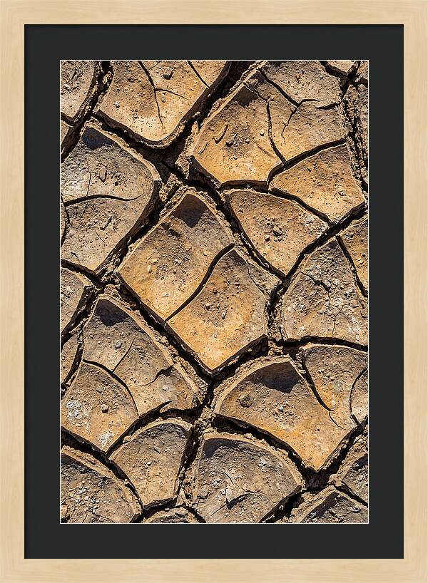 Cracked Earth Under Drought