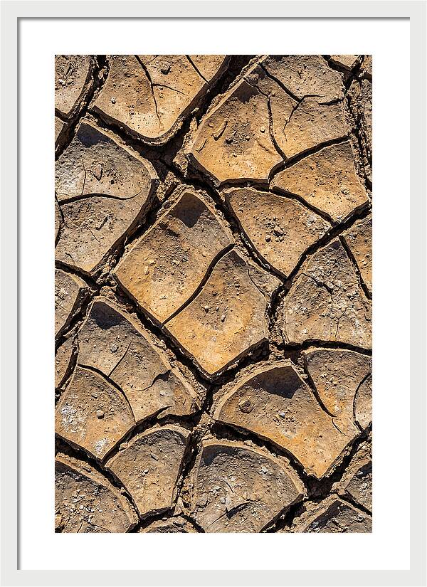 Cracked Earth Under Drought