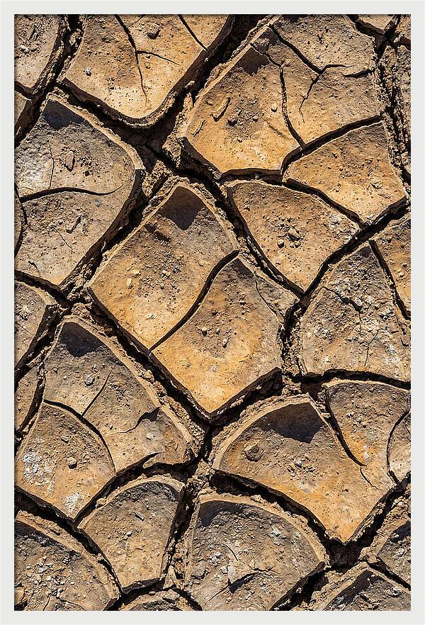 Cracked Earth Under Drought