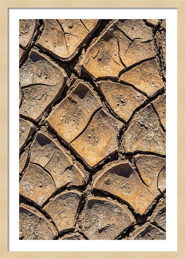 Cracked Earth Under Drought
