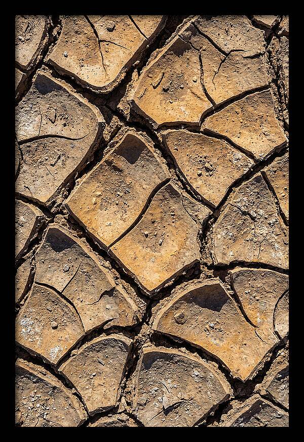 Cracked Earth Under Drought