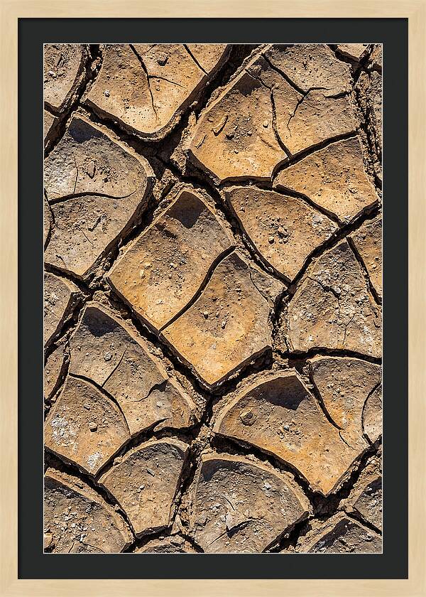 Cracked Earth Under Drought